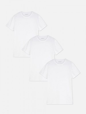 Primark 3-Pack Crew Neck Base T-shirts Heren Wit | Nederland 27063-IGTE