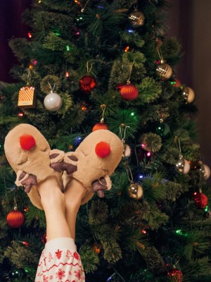 Primark Christmas Reindeer Plush Pantoffels Dames Bruin | Nederland 53462-KBAY