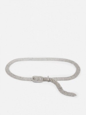 Primark Diamanté Embellished Riem Dames Zilver | Nederland 89324-CLBP