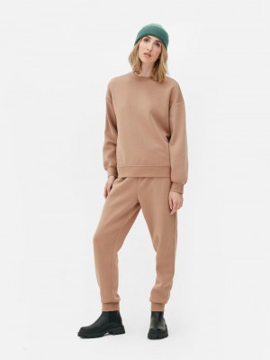 Primark Essential Crew Neck Sweatshirt Dames Beige | Nederland 72698-WAQN
