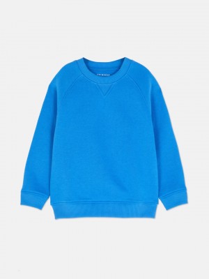 Primark Essential Crew Neck Sweatshirt Jongens Blauw | Nederland 07864-YERM