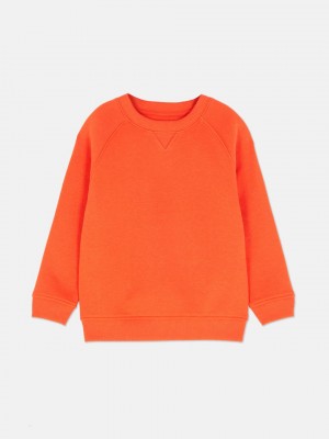 Primark Essential Crew Neck Sweatshirt Jongens Oranje | Nederland 42160-LPMS