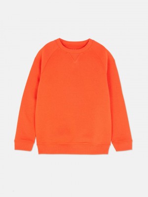 Primark Essential Sweatshirt Jongens Oranje | Nederland 21395-QWBU
