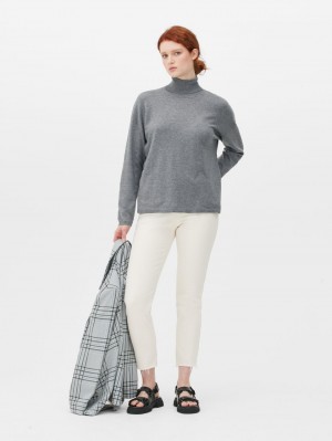 Primark Fine Knit Roll Neck Truien Dames Grijs | Nederland 21957-PRIN