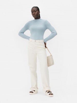 Primark Geribbeld Turtleneck Truien Dames Lichtblauw | Nederland 89570-QHNI