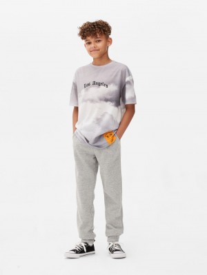 Primark Los Angeles Tie-Dye T-shirts Jongens Grijs | Nederland 89265-XUGE