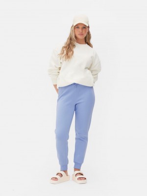 Primark Mager Fit Joggingbroeken Dames Blauw | Nederland 59162-JTYO