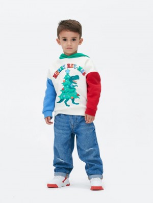 Primark Merry Rex-Mas Hoodie Jongens Wit | Nederland 72839-DUIB