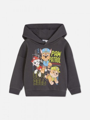 Primark PAW Patrol Print Hoodie Jongens Grijs | Nederland 52769-KJMH