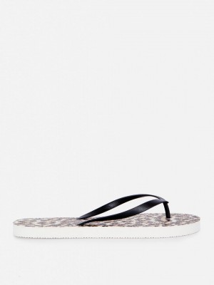 Primark Printed Teenslippers Dames Bruin | Nederland 51907-YSQJ