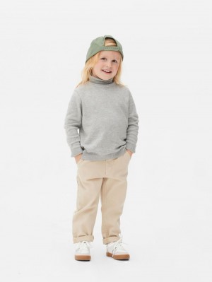 Primark Roll Neck Truien Jongens Lichtgrijs | Nederland 60193-ONED