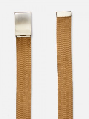Primark Webbing Metal Clasp Riem Heren Bruin | Nederland 58904-YLCT