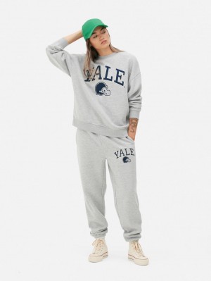 Primark Yale Oversized Sweatshirt Dames Grijs | Nederland 41803-RNME