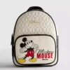 Disney's gewatteerde rugzak met Mickey Mouse