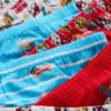 1,5-7 jaar | 6-pack Paw Patrol-slipjes