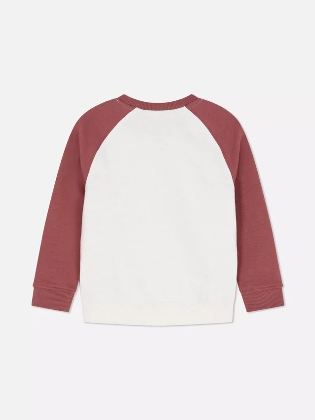 1,5-8 jaar | sweatshirt met kleurblokken