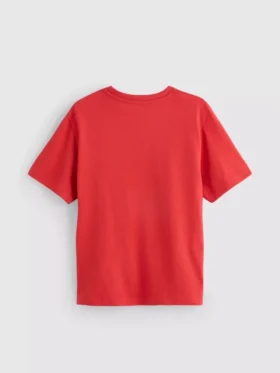 5-15 jaar | Minecraft-T-shirt met print