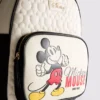 Disney's gewatteerde rugzak met Mickey Mouse