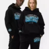 Hoodie met NFL Carolina Panthers-logo