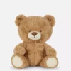 Klassieke teddybeer