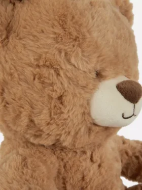 Klassieke teddybeer
