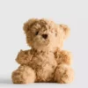 Klein pluche knuffeltje in de vorm van een teddybeer