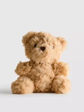 Klein pluche knuffeltje in de vorm van een teddybeer