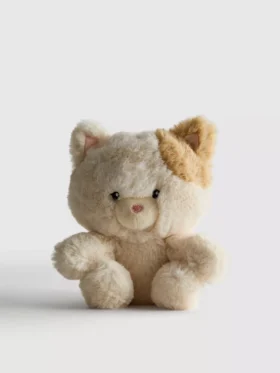 Kleine pluche tabbykat