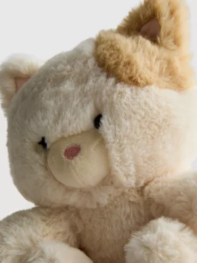Kleine pluche tabbykat
