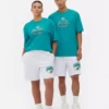 NFL Miami Dolphins-logo T-shirt